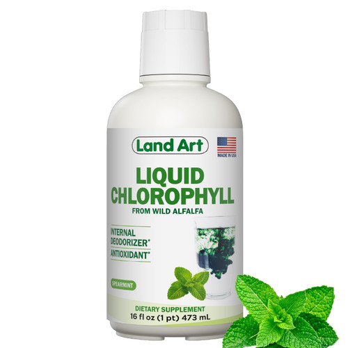 Chlorophyll, Cold-Extracted, Wild Alfalfa, Body Odor, Mint, 16 fl oz