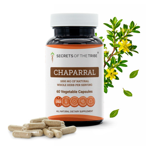 Secrets of the Tribe Chaparral 60 Capsules, 1000 mg, Chaparral (Larrea tridentata) Dried Leaf and Flower (60 Capsules)