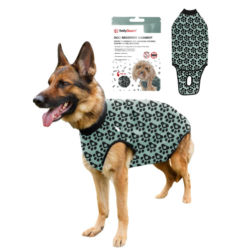 BellyGuard Dog Surgery Recovery Suit, Male Female After Spay Neuter Onesie