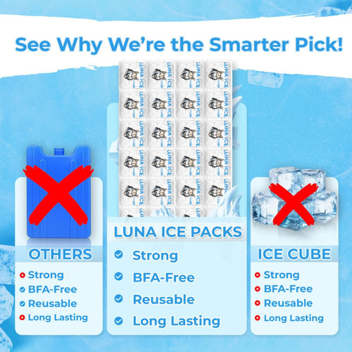 Dry Ice Packs for Shipping Cubes - Long Lasting ice Packs - 24+ Hour Freeze Power - BPA Free - 1200 Pack Bulk 75 lb – Hielo Seco - Reusable Gel Bricks for Food