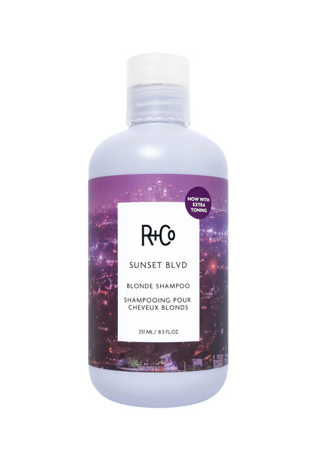 R+Co SUNSET BLVD Daily Blonde Shampoo, 8.5 Fl Oz