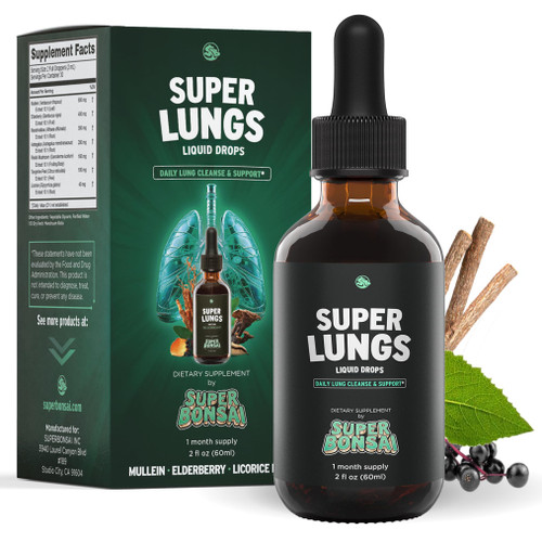 SuperBonsai Super Lungs Mullein Drops – Herbal Lung Support Tincture with Mullein Leaf Extract Elderberry Reishi Marshmallow Root – Supports Clear Breathing & Wellness – 2 oz