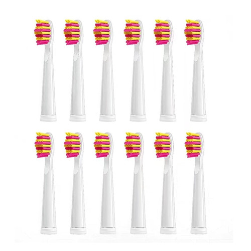 an Electric Toothbrush Replaces The Toothbrush Head. Compatible for Dnsly TB-5 Electric Toothbrush(12 pcs)