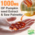 Pumpkin Seed Oil Capsules with Saw Palmetto, 3000mg Cold Pressed Formula – Supports Hair Growth, Prostate Function & Bladder Health – Non-GMO, Gluten-Free,Virgin Oil Supplement, 600 Softgels (2 Pack)