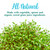 Garden of Life Perfect Food Original Super Green Formula - 30 Servings | 45 Superfoods, Greens, Sprouts plus HSO Probiotics, Enzymes & Ionic Plant Based Minerals - Juiced Superfood Powder Supplement