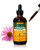 Herb Pharm Echinacea Alcohol-Free Extract: Immune System Support for All Seasons | Fast-Absorbing Echinacea Root Organic Supplement | Non-GMO, Vegan & Gluten-Free, Up to 12 Week Supply, 4 oz*