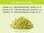 KOYAH - Organic Broccoli Sprout Capsules, Freeze-Dried: 150 Capsules