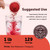 Micro Ingredients Organic Beet Root Juice Powder, 1 Pound | Water Soluble, Raw Beet Supplement | Powder Drink Mix for Smoothies & Recipes | Non-GMO, Vegan Friendly, Plant Based