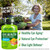 NATURELO Eye Vitamins - AREDS 2 Formula Nutrients with Lutein, Zeaxanthin, Vitamin C, E, Zinc, Plus DHA - Supplement for Dry Eyes, Healthy Vision, Eye Support - 60 Vegan Capsules (Pack of 2)