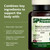 Standard Process Multizyme - Pancreatic Enzyme Supplement to Support the Breakdown of Proteins, Carbohydrates & Fats - Digestive Support - Gluten-Free, Non-Dairy & Non-Soy - 90 Capsules (90 Servings)