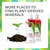 Youngevity Plant Derived Liquid Minerals - (32 oz Pack of 2)