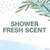 Secret Antiperspirant and Deodorant for Women, 24hr Sweat & Odor Protection, PH Balanced Protection, Gentle on Skin, Invisible Solid, Shower Fresh Scent, 2.6 oz (Pack of 12)