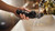 Philips Norelco Shaver 2400 Series, Wet and Dry Electric Shaver, Pop-up Trimmer, P-Cap, Deep Black, Model X3001/90