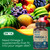 Deva Vegan Omega-3 DHA - EPA 300 mg Potency, Carrageenan Free Non Fish, from Algae, 90 Vegetarian/Vegan Softgels