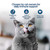 Felisyl L-Lysine Gel for Cats & Kittens (5oz) – Immune System, Respiratory & Eye Health Support. Reduces Sneezing, Runny Nose & Watery Eyes. Daily Salmon-Flavor Supplement – Made in USA (2 Pack)