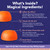 NutriMagic Kids Brain Booster+ 30mg Saffron-Based Multivitamin Gummies for Kids Brain Health Support, Saffron Extract Gummies, Vitamin D3, B6, B12, Zinc, 120x Non-GMO Gummy (2-Pack)