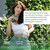 One Sol Greens, Super Greens Powder to Reduce Bloating & Improve Gut Health, Superfood Fresh Bloom Organic Greens Blend Juice & Smoothie Mix, Pre & Probiotic with Digestive Enzymes, Vegan & Soy Free