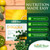 Sunlit Best Spirulina Tablets - Organic Spirulina Tablets USDA Premium 1000 Count - Natural Spirulinas Organic Burst for Immune Support Antioxidants, Energy Boost w/Chlorophyll - High Protein, Non GMO