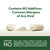 ANDREW LESSMAN Fibermucil 360 Capsules -Psyllium Husk Powder. Gently Promotes Regularity and Digestive Health. Rich in Fiber. Gentle, Easy, Effective. No Additives. Small Easy to Swallow Capsules