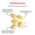 Allergy Research Group - Nattokinase Supplement NSK-SD 2000 FU, 100mg - Cardiovascular/Circulatory Health - 60 Softgels