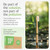 VIVAGO Bamboo Toothbrushes Bulk Soft Bristles (50 Pack) - Eco-Friendly, Natural Wooden Toothbrush