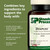 Standard Process Diaplex - Supplement for Pancreas & Gallbladder Support - Contains Chromium & Antioxidant Vitamin A - Non-Dairy - 150 Capsules (75 Servings)