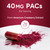 Urinary Tract Defense with Cranberry PAC, D-Mannose, Probiotics & Vitamins | UTI Avoidance & Bladder Support Supplement | Most Powerful Cranberry Pills for Women & Men | USA Manufactured | 60 Capsules