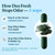 U+FITJOURNEY Deo Fresh 6-in-1 Chlorophyll & Probiotics Capsules-body deodorizering Supplement Support Full Body Odor Control, Digestive Health, Energy Boost with Zinc & Charcoal-60 Vegan Capsules