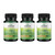Swanson Bacillus Coagulans Spore-Form Probiotic for Adults Seeking Shelf-Stable Digestive Support with 6 Billion CFU - Acid-Resistant (60 Vegan Capsules, 3 Pack)