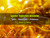 Biotest Flameout 5X DHA Fish Oil - 4200mg Omega-3-60 Servings