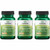 Swanson Lactobacillus Rhamnosus with FOS - 5 Billion CFU - Digestive Health Support with Fructooligosaccharides - Probiotic Support for Gastrointestinal Health* - Vegan - 60 Veggie Caps (3 Pack)