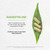 Secrets of the Tribe White Willow Capsules 800 mg USDA Organic White Willow (Salix Alba) Dried Bark (120 Capsules)