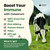 Immerge Health Super Colostrum Powder (60 Servings) – Premium Bovine Colostrum Supplement for Gut Health, Bloating & Immune Support – High IgG, 100% Grass Fed First Milking, Unflavored, Made in USA