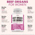 NEW AGE Beef Organ Supplement for Women - Beef Liver, Kidney, Heart and Uterus Tissue, Supports Women's Overall Energy and Health - Pasture Raised, Grass Fed - No Fillers - 180 Capsules
