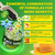 Black Seed Oil Gummies & Chlorophyll, Biotin 500mcg with Hydrolyzed Collagen, Raw Manuka Honey, Organic Cold Pressed - Ultimate Absorption for Skin, Hair & Nails, Digestive, Overall Health,2 Pack