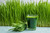 Antler Farms - 100% Pure, Organic, New Zealand Wheatgrass Powder, 40 Servings, 200g - Raw, Vegan, Gluten Free, Nutrient Rich, High Chlorophyll Wheat Grass, Detox, Essential Amino Acids, Minerals