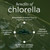 VITALITYbits - Organic Blended Spirulina & Chlorella Tablets - Algae Superfood - Energy, Self Care, Beauty - Replace Greens, Supplements, Protein, Snacks - Vegan, Keto, Gluten Free - 1000 Tablets Bag