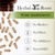 Herbal Roots Organic Turkey Tail Mushroom Supplement - Fruiting Bodies Extract - Immune Support - 60 Vegan Non GMO Capsules