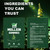 NutraNourish Mullein Gummies, 2000mg Mullein Leaf Extract (50:1) per Serving, Lung & Respiratory Support, Vegan Pear Flavor, 60/120 Count (2)