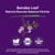 Paradise Herbs, Banaba Leaf, 12:1 Concentrated Extract, 250 mg, Vegan, Gluten-Free, Non-GMO, 180 Capsules