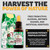 PONLEE Brazilian Green Bee Propolis Extract 100% Organic, No Alcohol – High Artepillin-C Concentration, Natural Antioxidant, 30ML