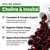 Franguly Methylated B Complex,Liposomal Methyfolate 5-MTHF,Methylated B12 Complex,Ultra High Absorption with Choline Inositol-Supports Methylation,Energy and Mood Health,2 Month Supply,2 Month Supply