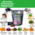 AyBet Organic Himalayan Shilajit Gold Gummies for Men and Women, Black Seed Oil, Ashwagandha, Ginseng, Turmeric, Gokshura, Lion's Mane, Lab Tested, No Sugar Added, Halal, 60Gummy