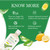 AloeCure USDA Organic Aloe Vera Juice Lemon Flavor - Made Within 12 Hours of Harvest - Natural Digestive Supplement for Balanced Stomach Acidity - Support Digestive and Immune Health, 4 Btls x 16.7oz