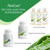 AloeCure USDA Organic Aloe Vera Juice Lemon Flavor - Made Within 12 Hours of Harvest - Natural Digestive Supplement for Balanced Stomach Acidity - Support Digestive and Immune Health, 4 Btls x 16.7oz