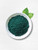 Carlyle Organic Spirulina Powder 2.2 lbs | Blue Green Algae | 8000mg | Vegan, Non-GMO, Gluten Free Supplement
