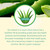 Aloe Life - Whole Leaf Aloe Vera Juice Multi-Flavor Bundle, Certified Organic, Gluten-Free (Cherry Berry, Aloe Gold & Orange Papaya Flavors, 16 oz Each)