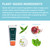 Himalaya Botanique Neem & Pomegranate Travel Toothpaste, Mint Flavor - Travel Size Fluoride Free Toothpaste Fights Plaque & for Fresh Breath - Vegan, Gluten Free, No SLS, 0.74 oz (Pack of 20)