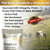 PureGold - Bovine Colostrum Powder - 100% Pure New Zealand Grass Fed, Supports Gut Health, Skin, Hair, & Immunity – Colostrum Supplement, Unflavored, 30 Travel Packets