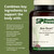 Standard Process Bio-Dent Skeletal Health Dietary Supplement - Teeth & Bone Function Support - Skeletal & Collagen Supplement - 800 Tablets